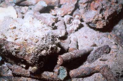 ammunition on the Aud wreck